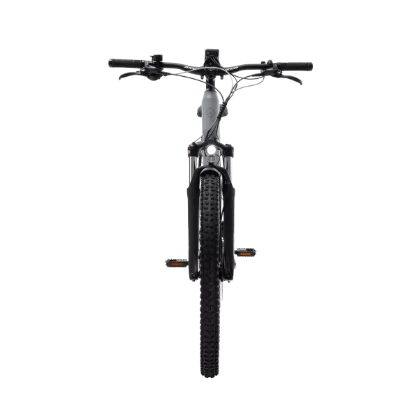 Peddle Pro E-bike 250W