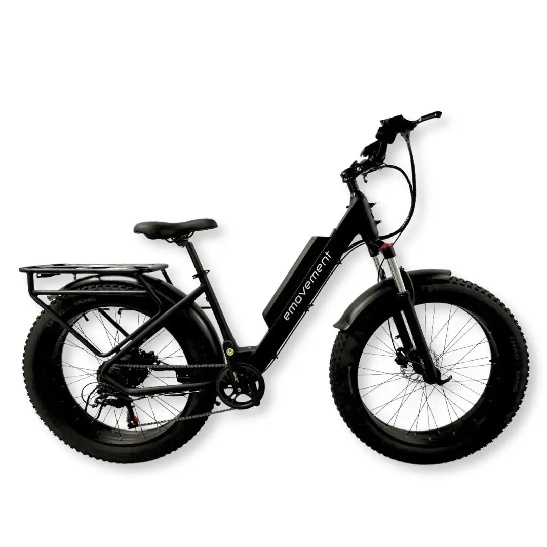 Aries Electric Mountain Bike (eMTB) 250W / 500W