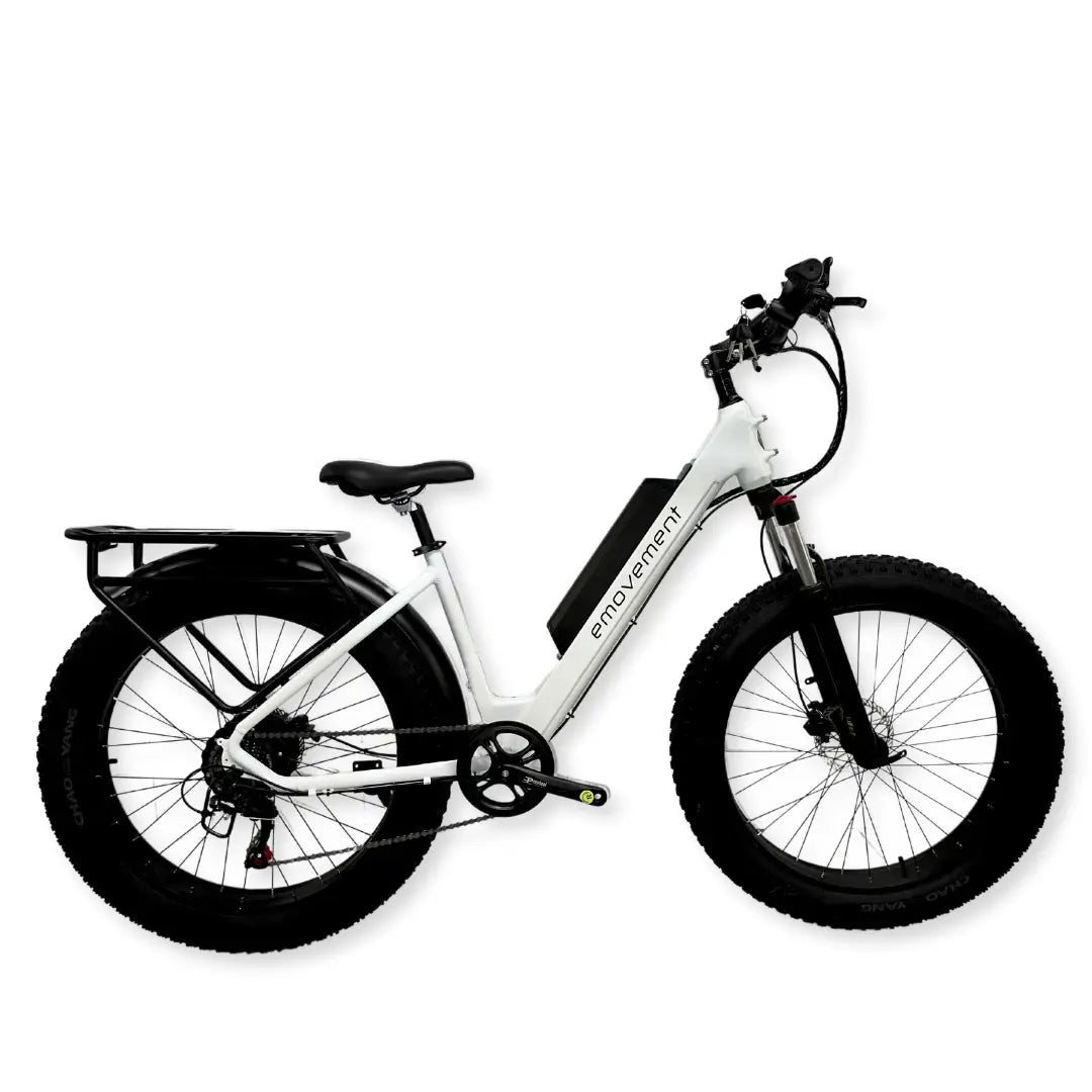 Aries Electric Mountain Bike (eMTB) 250W / 500W
