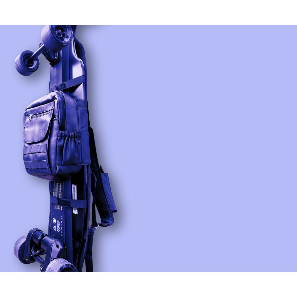 Viper Electric Skateboard - 1000W*2 Dual-Motor Longboard