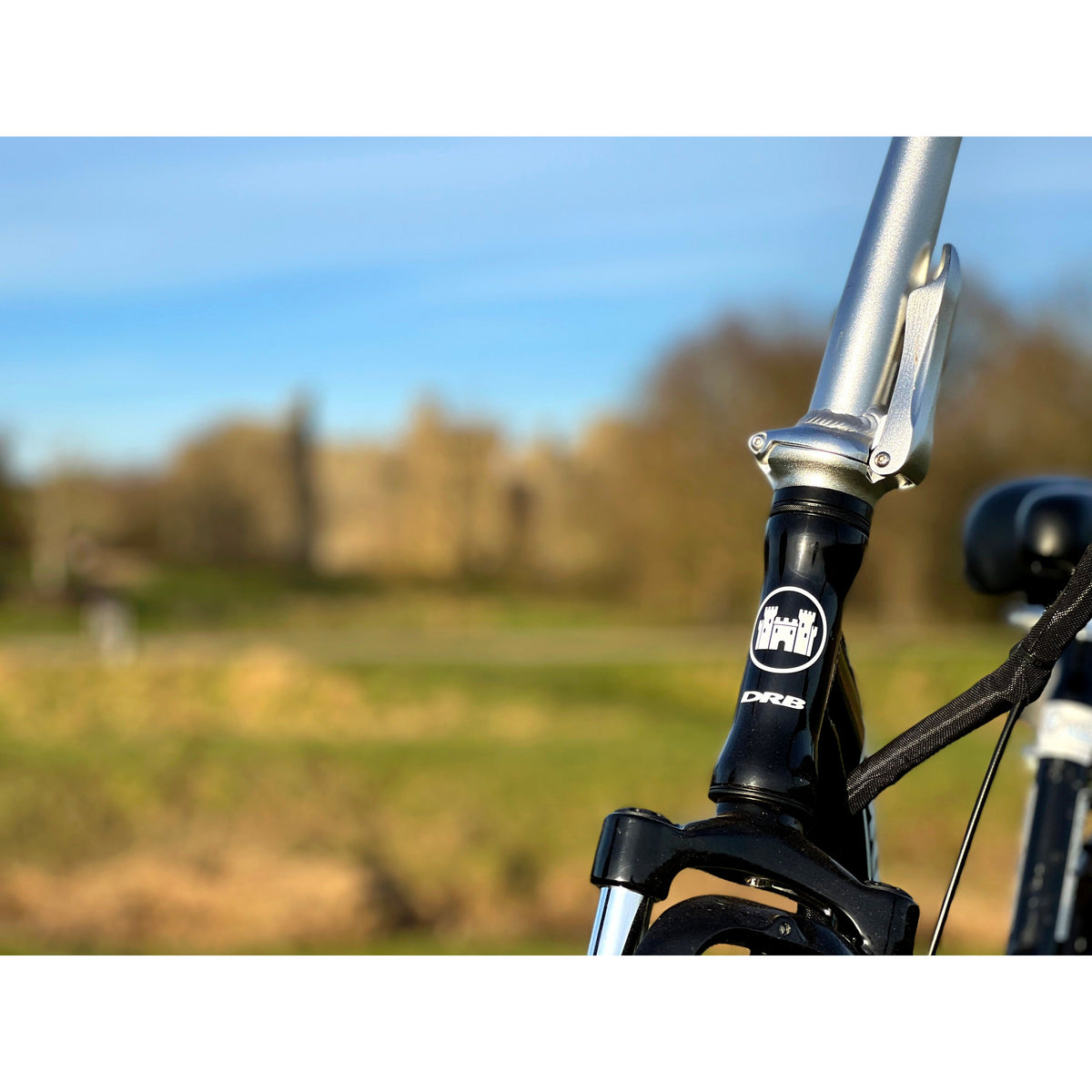 Dallingridge Oxford Low Step Folding Electric Bike